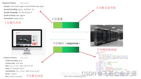 深入理解計算機網絡中的POST請求